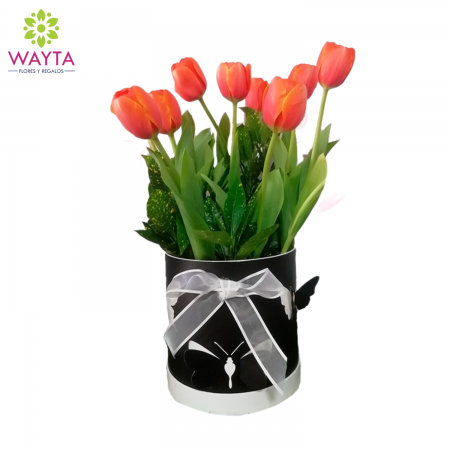 Black Box de tulipanes