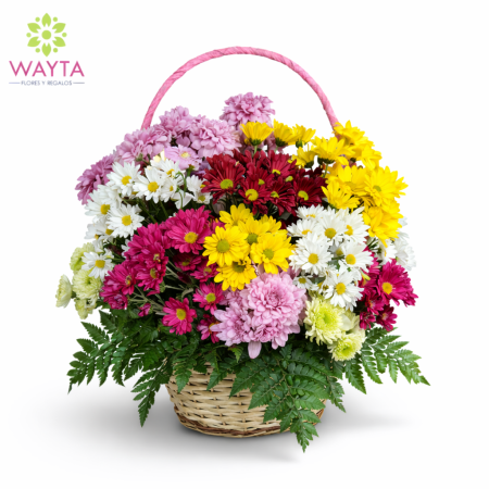 Margaritas de primavera