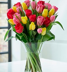 Significado de regalar tulipanes